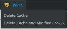 WP Fastest Cache 06